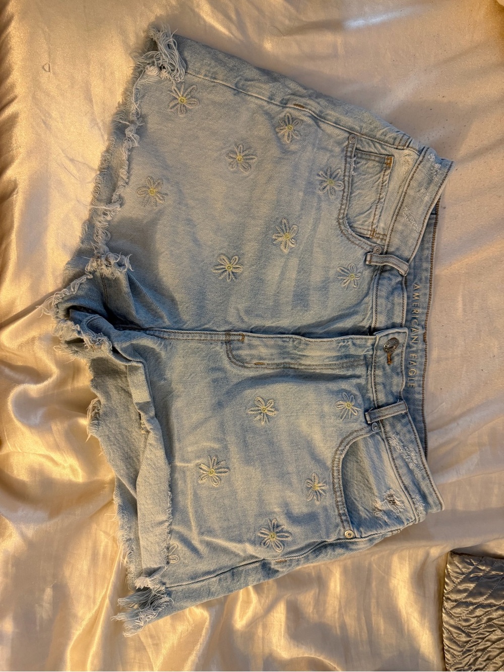 American Eagle Outfitters Light Wash Daisy Embroidered Denim Shorts